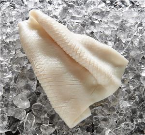 Squid-Fillet-Pineapple-Cut-Under-5-Pacific-5Kg-Top-Sail-(45441)-(GF)-(152695)