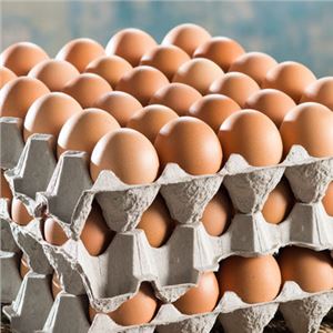 Eggs-Large-Catering-15dozen-Sunny-Queen-(GF)-(439078)