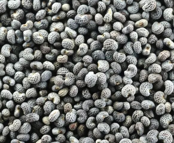 Poppy Seeds 1Kg Windsor Farm