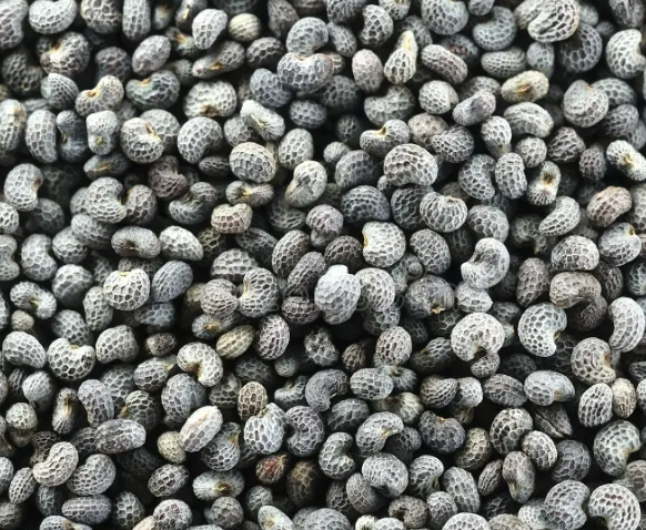 Windsor Farm Poppy Seeds Whole
