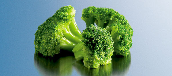 Broccoli, Frozen 1.5Kg Edgell (VG) (GF)