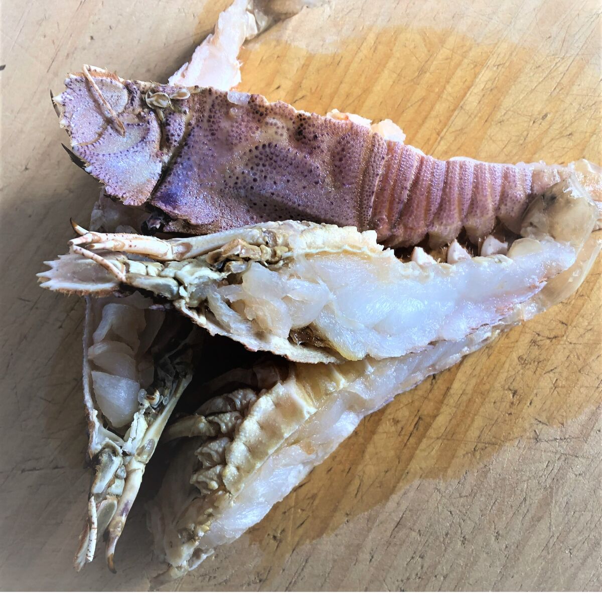 Lobster, Slipper (7285) Half Cut 40-70gm Pacific West, 5kg (I)