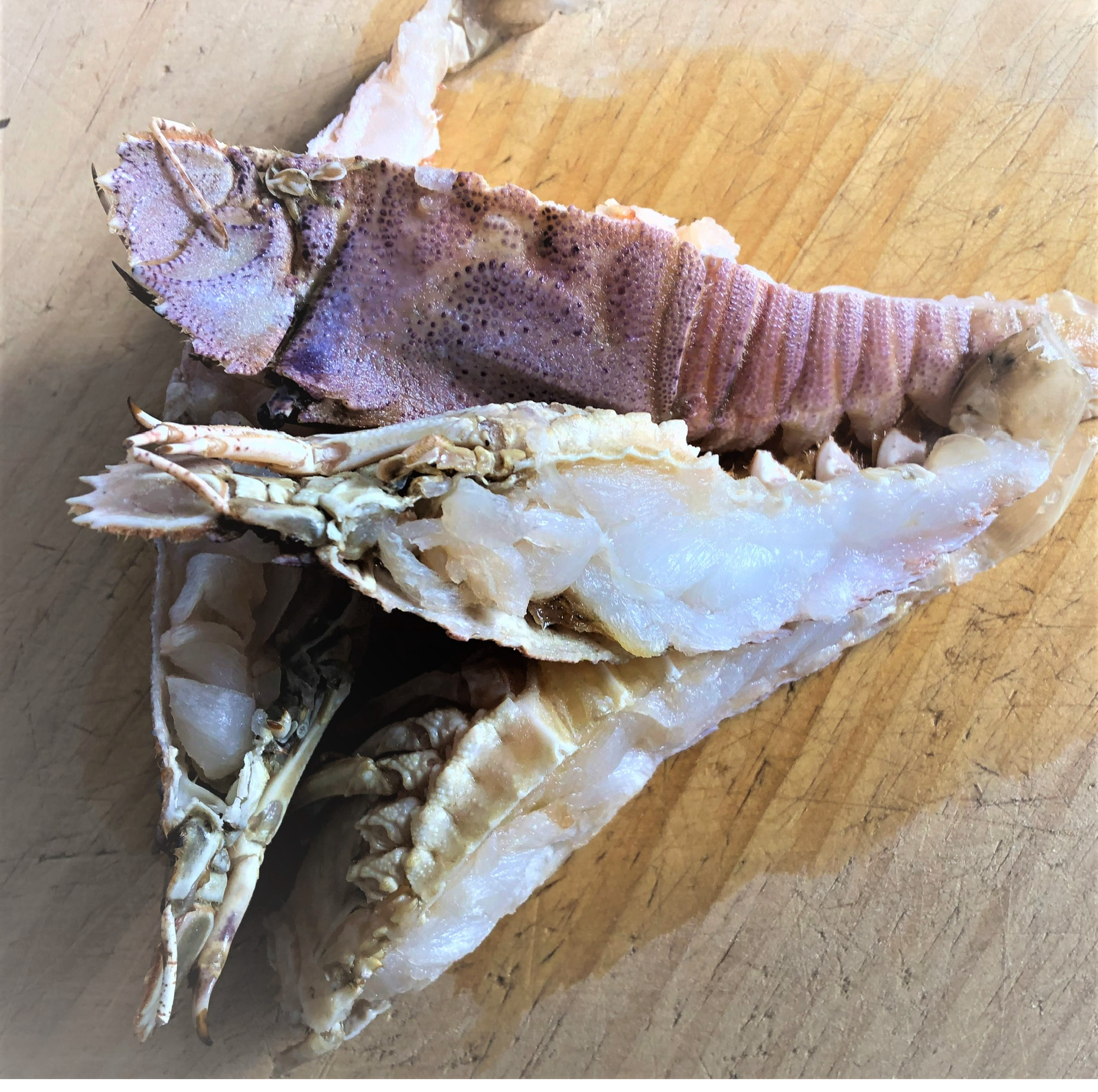 Pacific West Slipper Lobster Half Cut 40/70