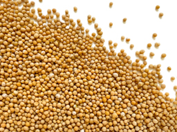Mustard**Seeds Yellow 7Kg Krio
