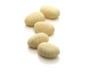 Gnocchi, Potato Pre-Cooked 1Kg Casa Della Pasta