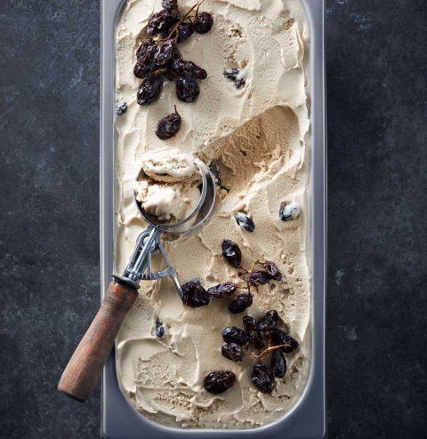 Everest Ice Cream Premium Rum & Raisin