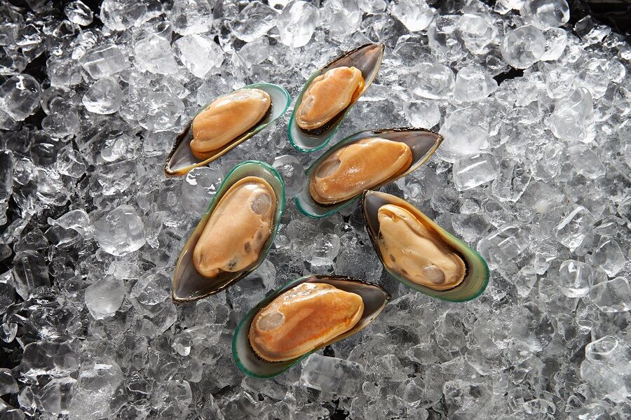 Mussels, 1/2 Shell 1Kg Talleys (GF) (I)