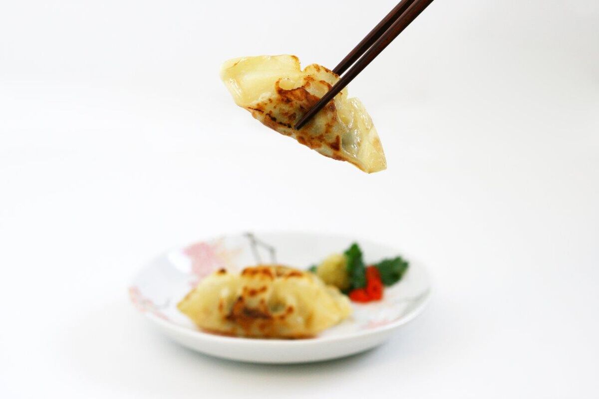 Gyoza, Pork with Chives (dumplings) 50x20g Hakka