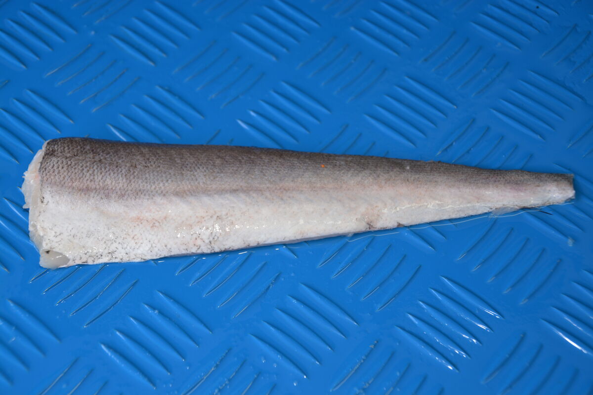 Hake, 4-6 Seawork Skin On 2x5Kg (GF) (I)