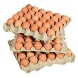 Eggs, 700gm Cage X Large Catering 15dozen Sunny Queen (GF)