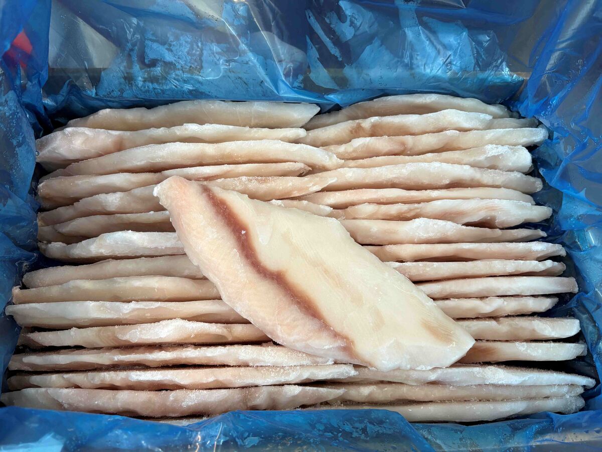Shark, Flake Portions Skinless 140/160gm Pacific West 5kg CTN (7347) (I)