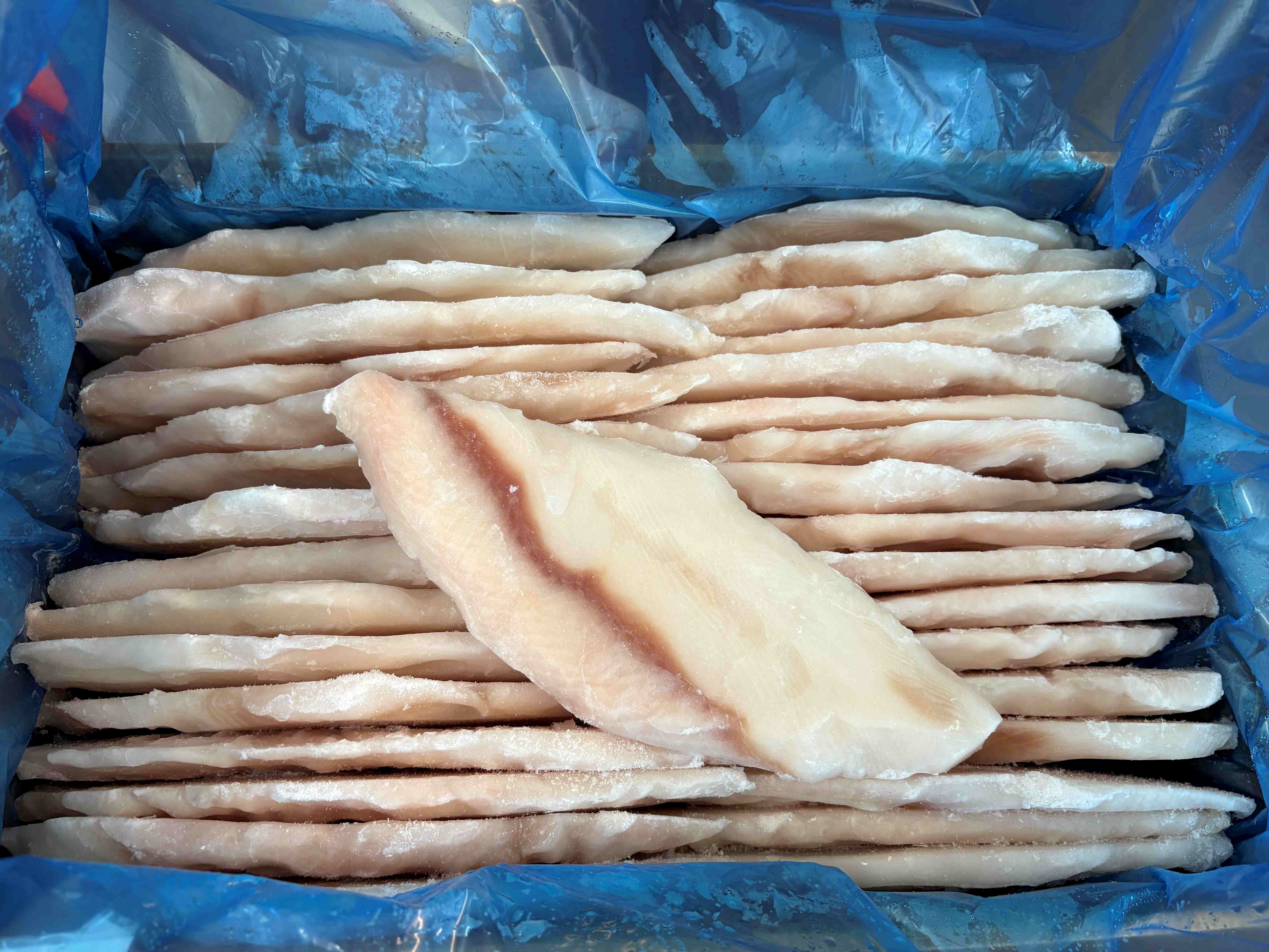 Shark, Flake Portions Skinless 140/160gm Pacific West 5kg CTN