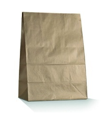 Envirochoice Paper Bag Flat-Bottom Brown #20