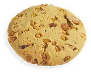 Cookies, Apricot Macadamia (12) East Coast
