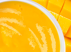 Frutex Mango Puree Speedy Berry