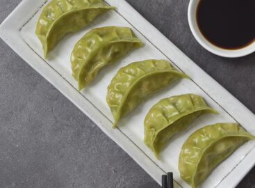 Gyoza**Vegetarian Dumplings 1Kg Hakka (H)