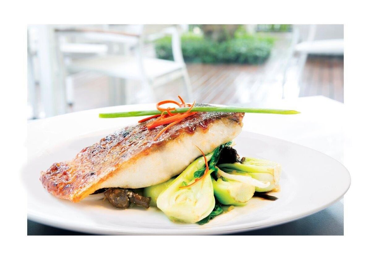 Barramundi,170/200 Centre Cut Portions Skin On 5Kg Clean Harvest Global (GF) (I)