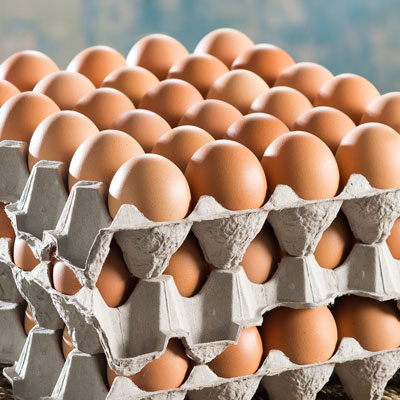 Sunny Queen Eggs Cage Large Catering