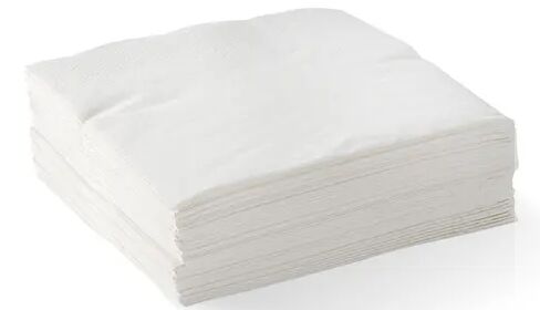 Napkin 2-Ply White Corner Embossed Cocktail (250) Biopak