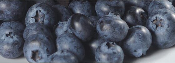 Blueberry**50% Filling 6kg Bakels