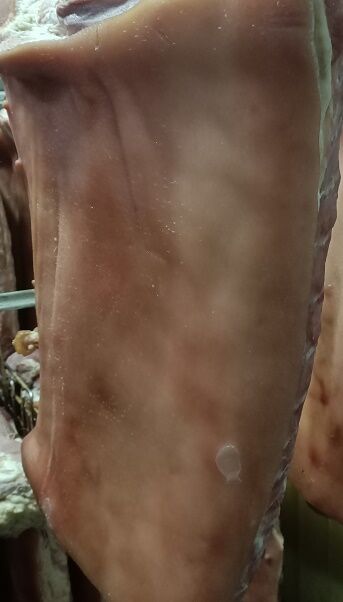 Pork,**Middle Boneless Smoked (2) Random Weight Conroy’s