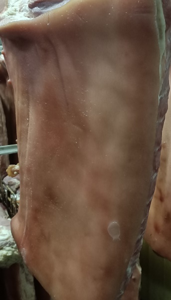 Conroy's Smallgoods Smoked Boneless Pork Middle