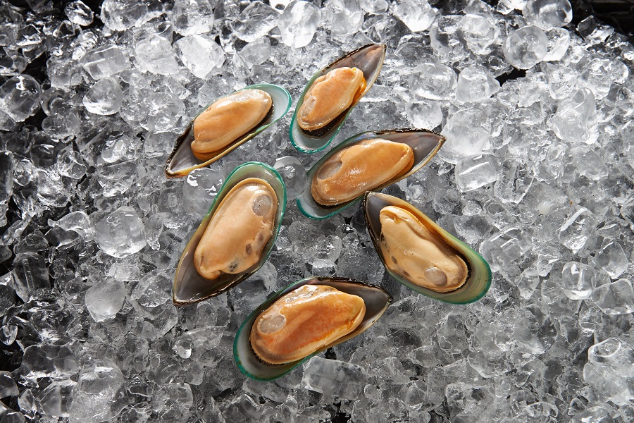Sanford Mussels Half Shell