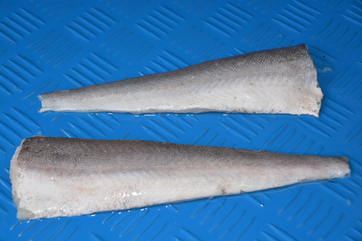 Hake, 3-4 Seawork Skin On PBO 2x5Kg (GF) (I)