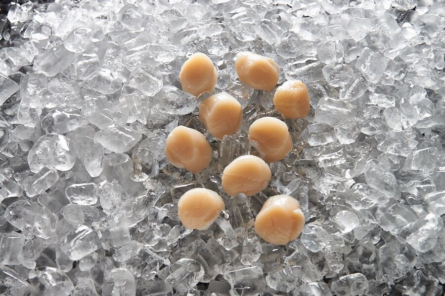 Scallops, Roe OFF 10/20 1Kg Top Sail (GF) (I)