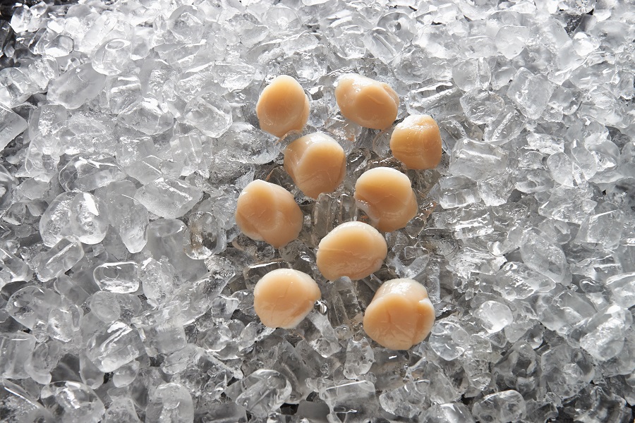 Top Sail Scallops 10/20 Roe Off