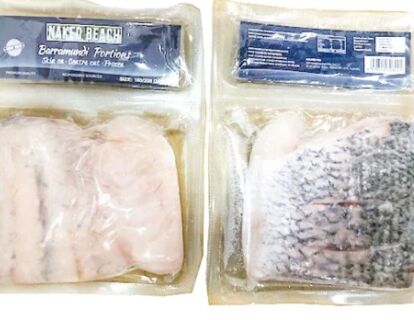 Barramundi, 100/200 Fillets S/Less 5kg Naked Beach (I)