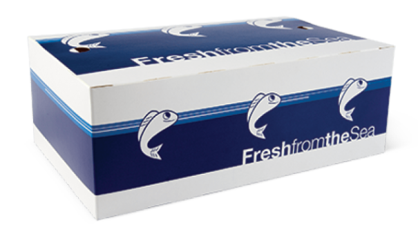 Detpak Fish & Chip Box Large