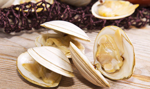 Clams, Whole Cooked 1kg 40-60 Blue Wave (I)