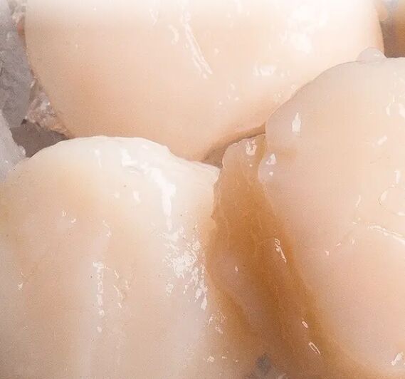 Scallops, Roe Off 10/20 1Kg IQF Pacific West (I)
