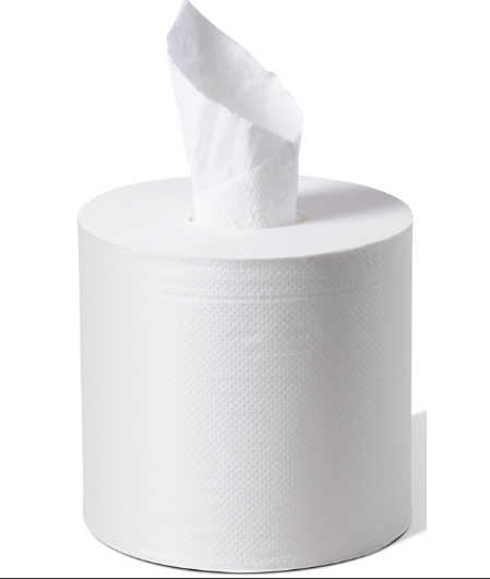 Livi Centre Pull Paper Towel