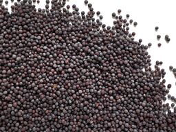 Mustard Seed**Brown 1kg Windsor Farm