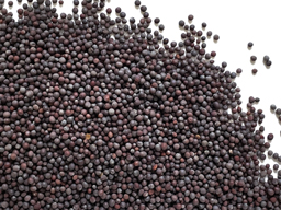 Mustard Seed, Brown 1kg Windsor Farm