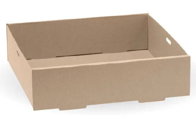 BioBoard**Small Catering Tray Base 225x225x60mm, Biopak (100)