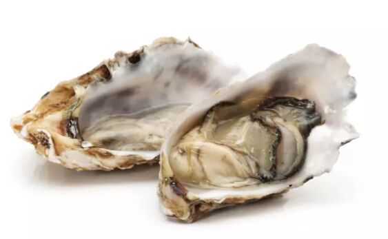 Oysters, Coffin Bay Open 10 Dozen CARTON Regal Bight Fisheries (A)