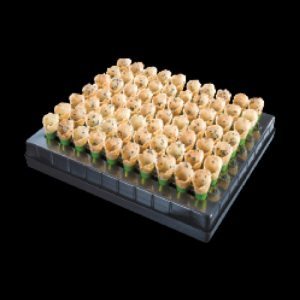 Cones**Mini Vegan 140 x 3-4gm (V) La Rose Noire
