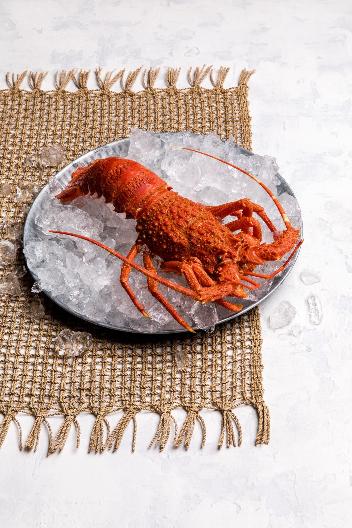 Lobster, Whole Cooked (6724) 20x500gm CTN (I)
