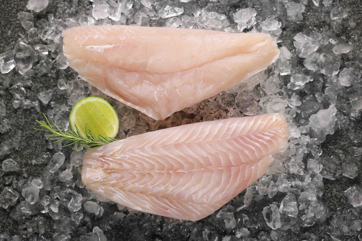 Snapper**Tropical S/L Fillet 100/200 5kg CTN (I)