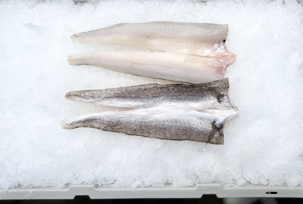 Whiting**King George Medium/Large 5kg, Regal Bight (A)