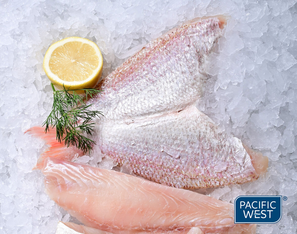 Snapper**Goldband 150/250g B/Fly 5kg Pacific West (GF) (I)