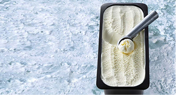 Ice Cream, 4x4L Gold Label Vanilla, Everest