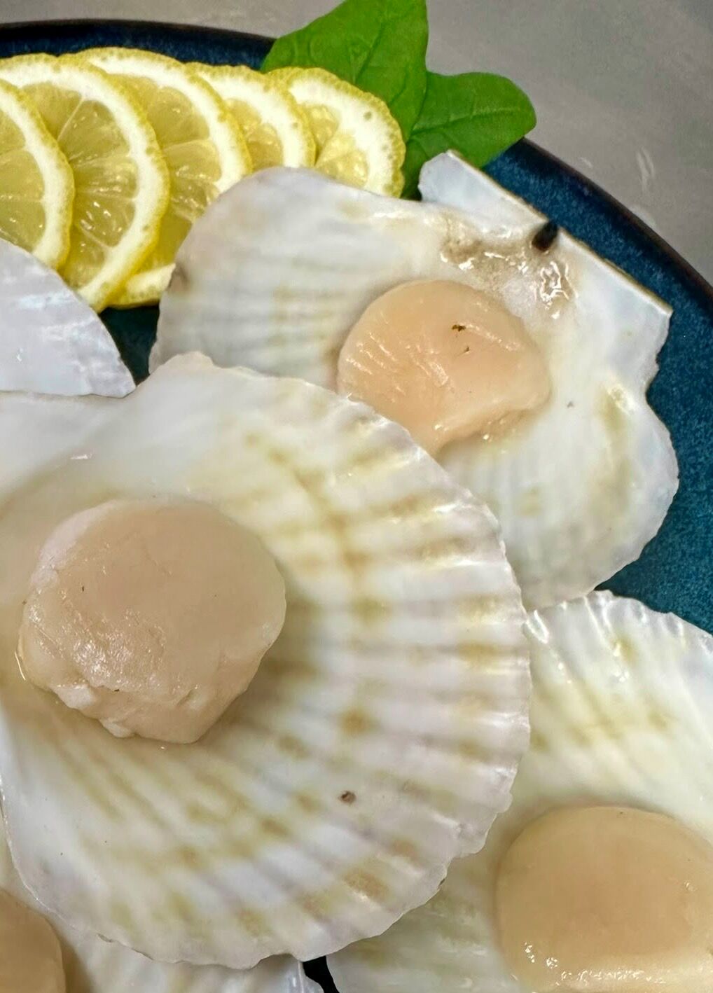 Scallops**Half Shell Hokkaido Size 2L (96 peices) (I)