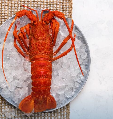 Lobster**Whole Cooked (6727) 18x575gm CTN (I)