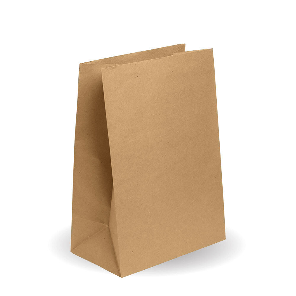 Bag**Takeaway Paper Kraft SOS #20 (250) Biopak